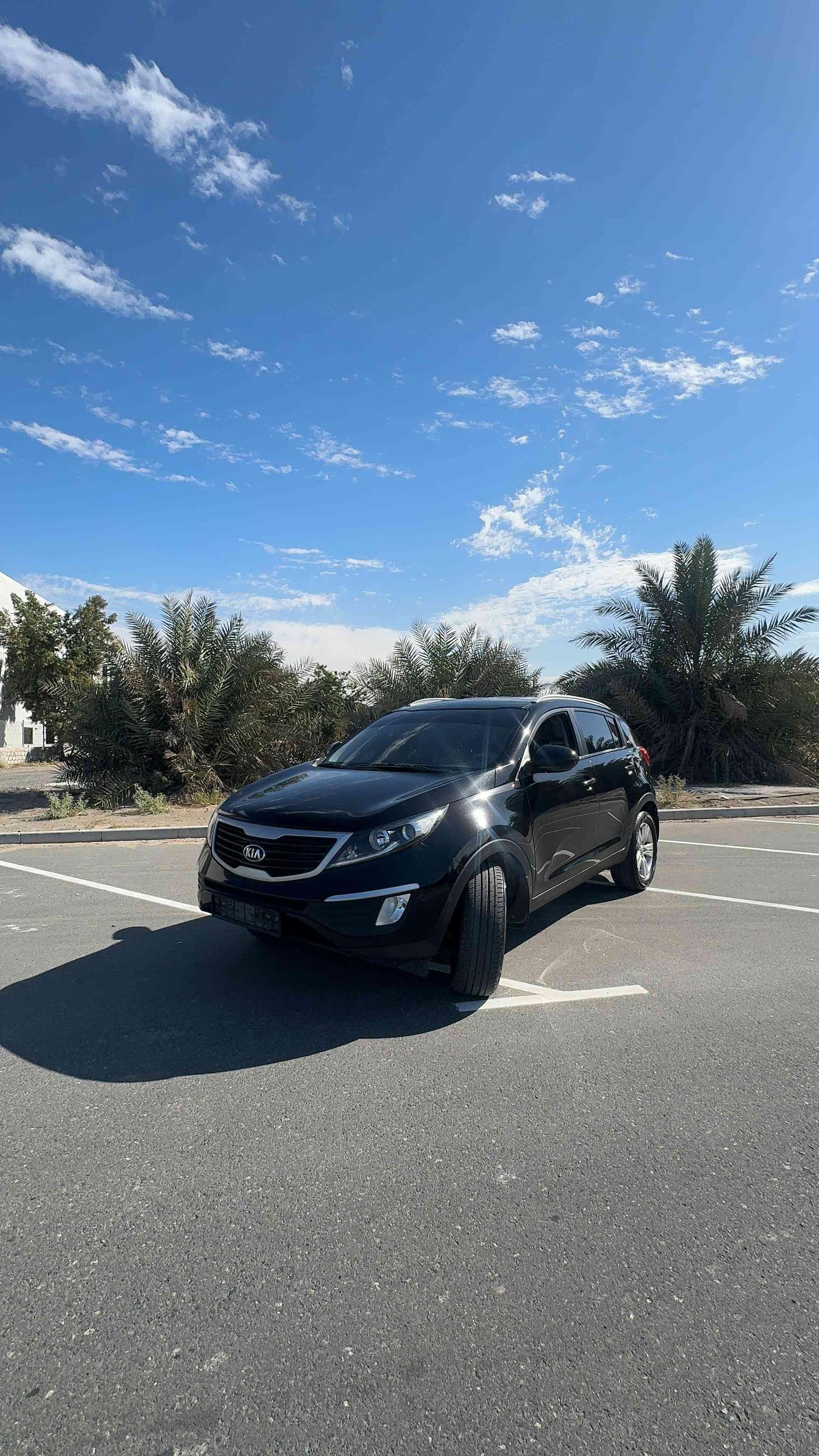 Kia Sportage Original Paint